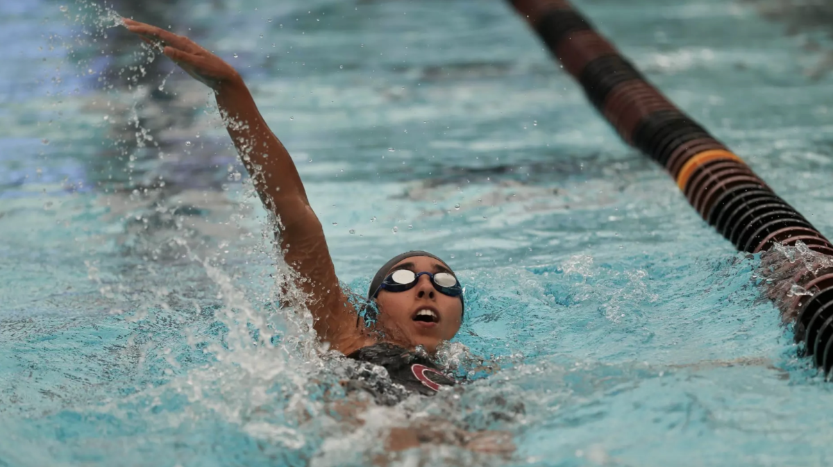 In the Deep End: Swimming and Diving Midseason Update